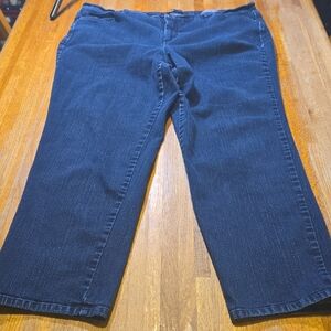 Gloria Vanderbilt Women 20W Plus Dark Blue Amanda High Raise Straight‎ Leg Jeans